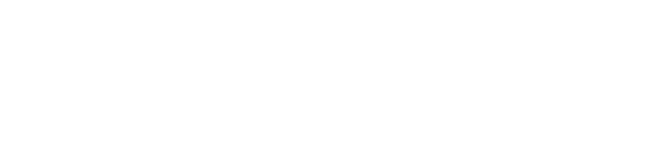 Монастырский, Зюба, Степанов & Партнеры